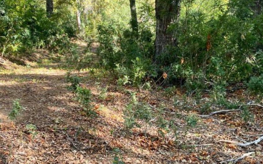 Terreno en la región del Maule