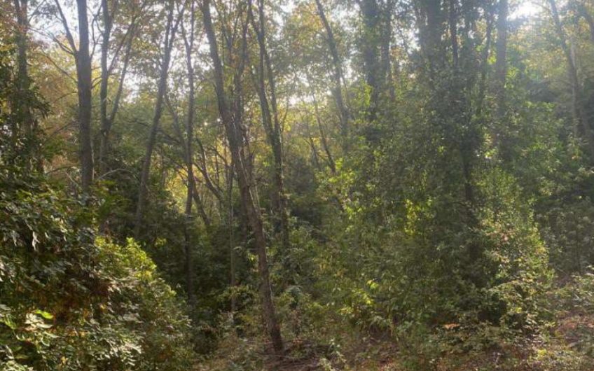 Terreno en la región del Maule