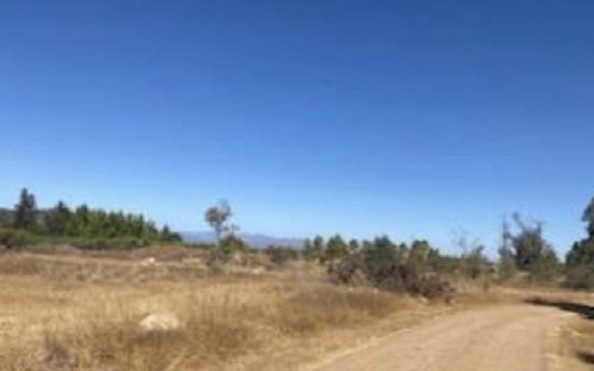 Terreno Agricola en La Estrella