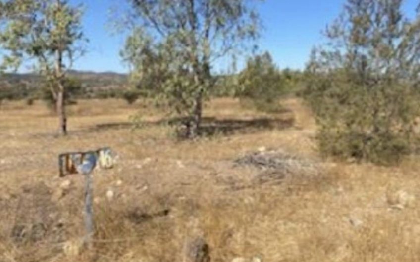 Terreno Agricola en La Estrella